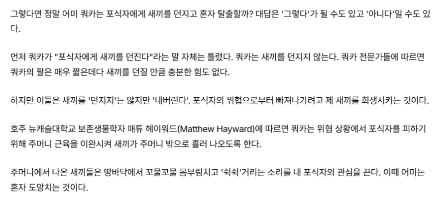 반전 컷