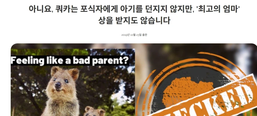 쿼카 상황 이미지